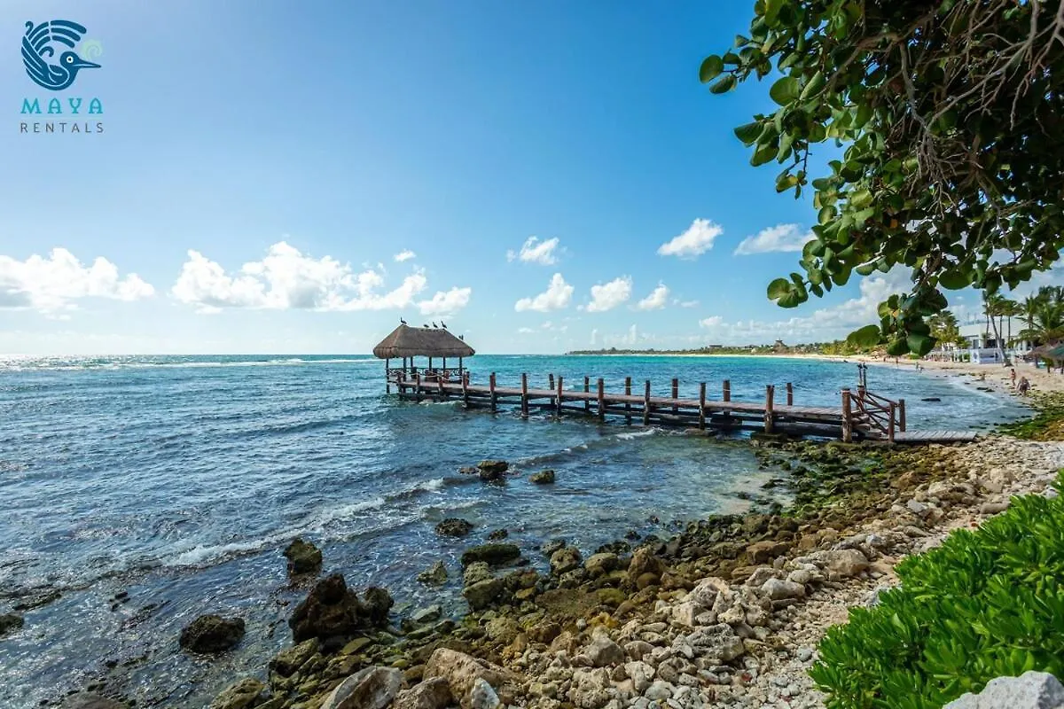 Apartment Luxurious Penthouse By The Beach Akumal