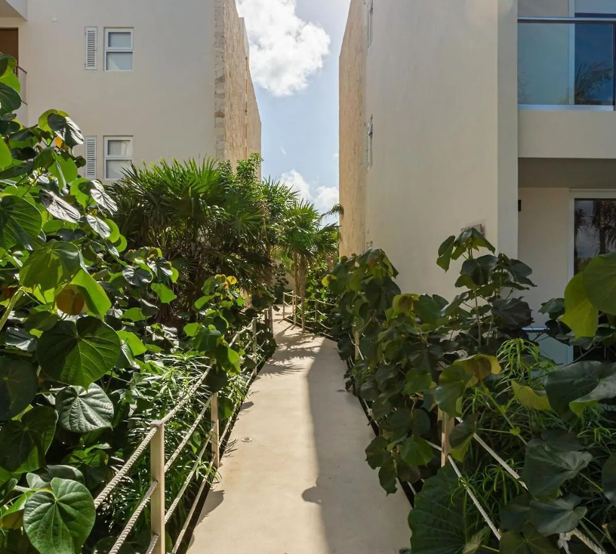 Luxurious Penthouse By The Beach Akumal Apartment