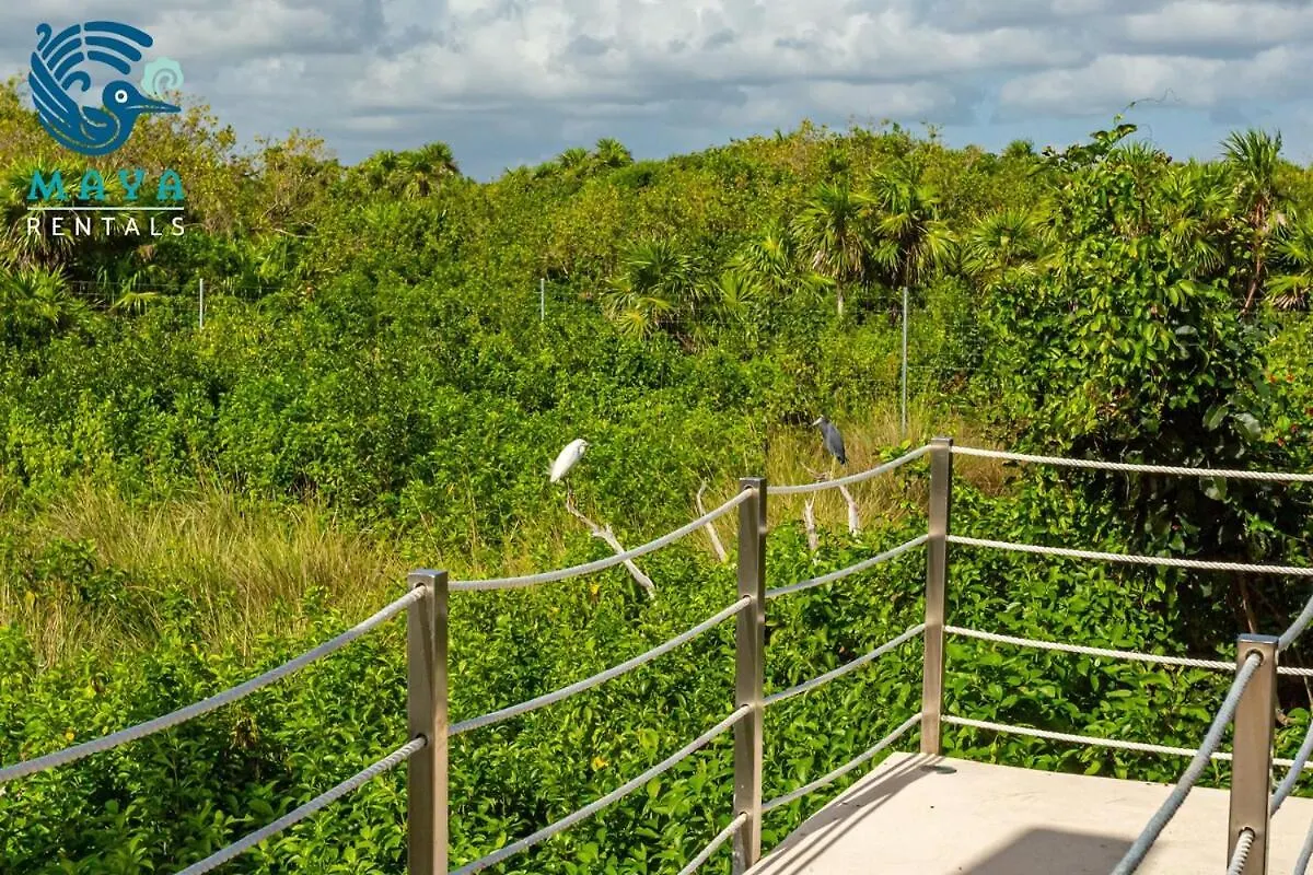 Luxurious Penthouse By The Beach Akumal