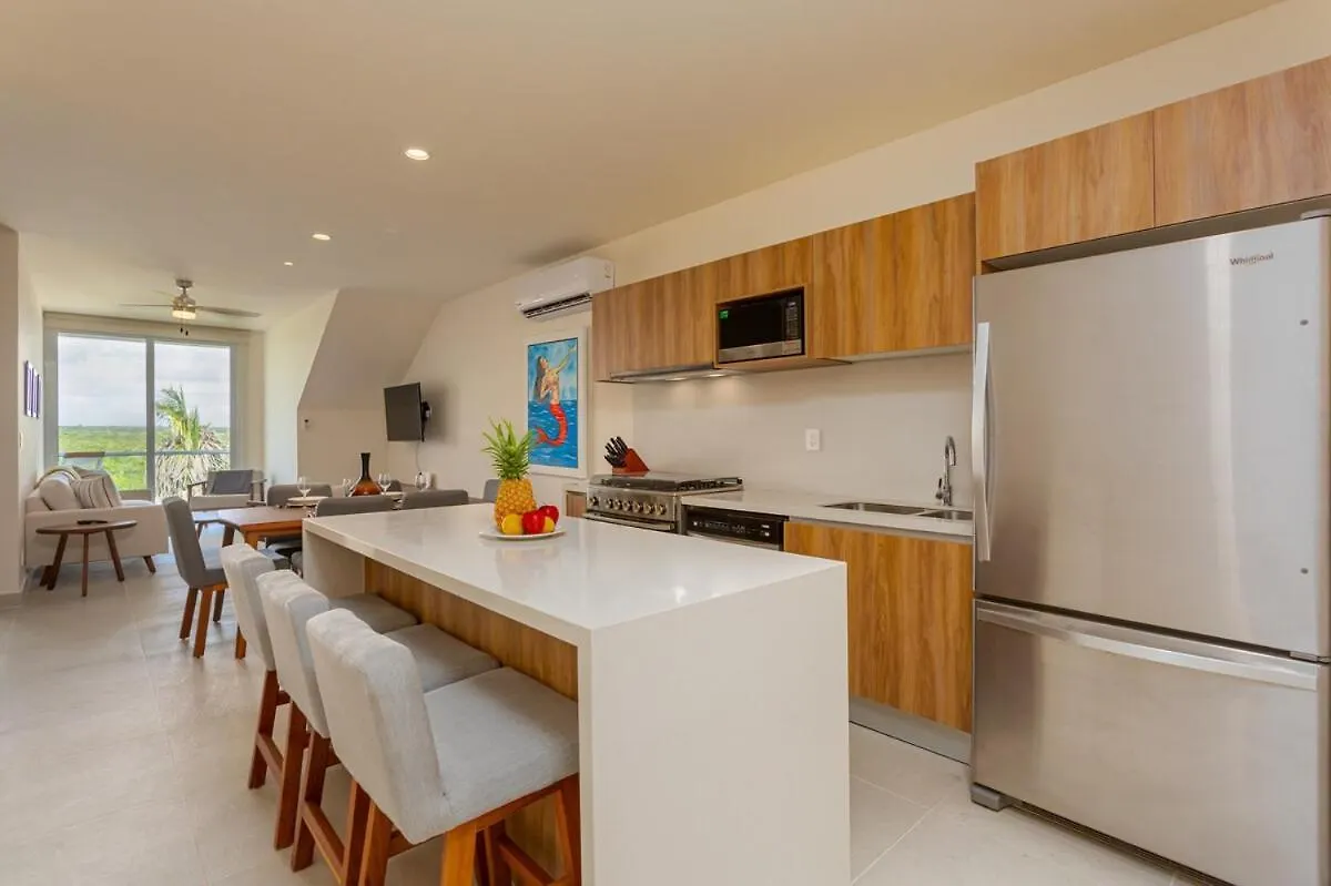 Luxurious Penthouse By The Beach Akumal Apartment