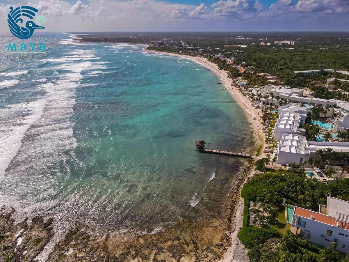 Luxurious Penthouse By The Beach Akumal Apartment